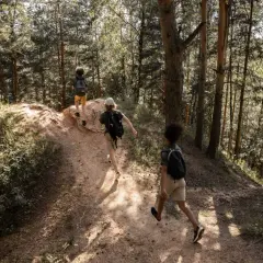 Jak określić kierunki geograficzne bez kompasu i nie zgubić się